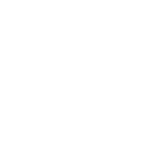 feature-item-2