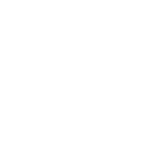 feature-item-4